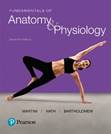 Image result for Martini, Fundamentals of Anatomy & Physiology 11e